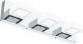 Ralbay Dimmable LED Vanity Light Modern 3 Light Acrylic Stainless Steel by RalbayLighting