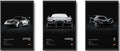 CSLGQGV Car Poster Vintage Racing Car Wall Art Supercar Canvas Prints Painting by Unknown