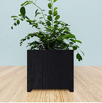 Black Wallpaper - Image 6