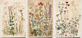Wood Framed Plants Flowers Canvas Wall Art Vintage Floral Painting Poster by NCYEL