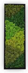 yersiz Large Moss Pattern Wall Art, Real Moss Wall Art by YERSIZ