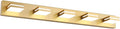 SineRise LED Modern Bathroom Vanity Light Fixtures, Matte Gold Modern Acrylic by SINERISELIGHTING