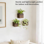 Dahey Small 4 Inch Wood Wall Hanging Planter Boxes - Image 2