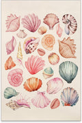 Pink Seashell Posters Coastal Cowgirl Canvas Wall Art Trendy Beach Starfish by Unknown