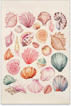 Pink Seashell Posters Coastal Cowgirl Canvas Wall Art Trendy Beach Starfish by Unknown
