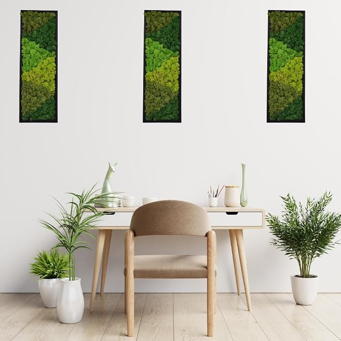 yersiz Large Moss Pattern Wall Art, Real Moss Wall Art - Image 9