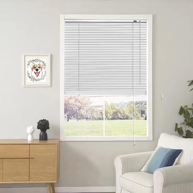 YIIBAII Mini Blinds Suitable for 28" W x 64" H Windows 1" Aluminum Horizontal by YIIBAII