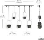Umbra Triflora Hanging Planter for Window, Indoor Herb Garden - Image 3