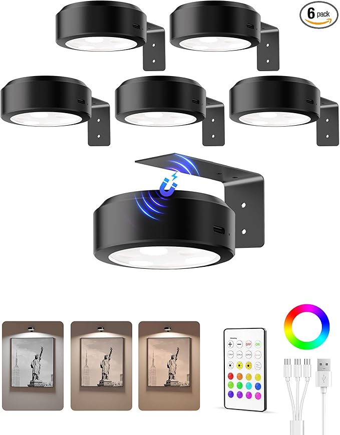 EZVALO Picture Lights for Wall, 2000mAh Rechargeable Battery Magnetic Poster by EZVALO