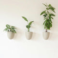 Make Good PlantPod Luxe Self-Watering Wall Planters by MakeGood