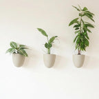 Make Good PlantPod Luxe Self-Watering Wall Planters by MakeGood