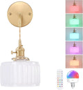 Shenmoyl Battery Operated Wall Sconce by Shenmoyl