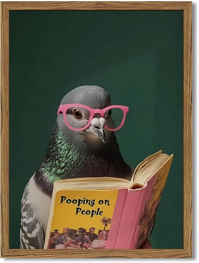 Framed Funny Pigeon Wall Art, Humorous Bird Reading Wall Decor Paintings by Unknown