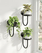 Bamworld Hanging Planters for Indoor Plants Wall Plant Holder Plant Hanger by Bamworld