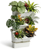 3-Tiers Vertical Wall-Mounted Planter by LZLUCKCOME