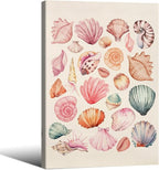 Pink Seashell Posters Coastal Cowgirl Canvas Wall Art Trendy Beach Starfish by Unknown