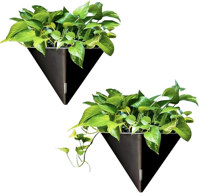 LaLaGreen Wall Planters for Indoor Plants - Image 10