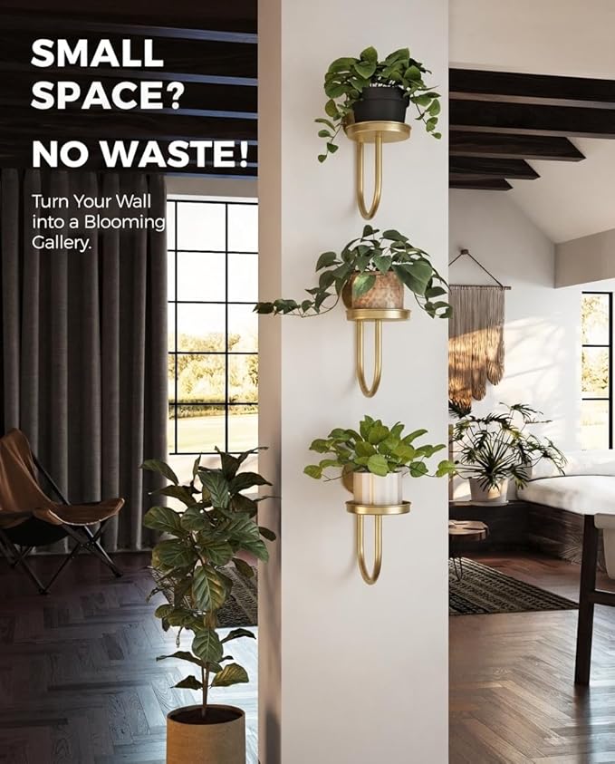 Bamworld Wall Plant Holder Wall Planters - Image 4