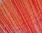 ave split Decorative Door String Curtain Wall Panel Fringe Window Room Divider - Image 6