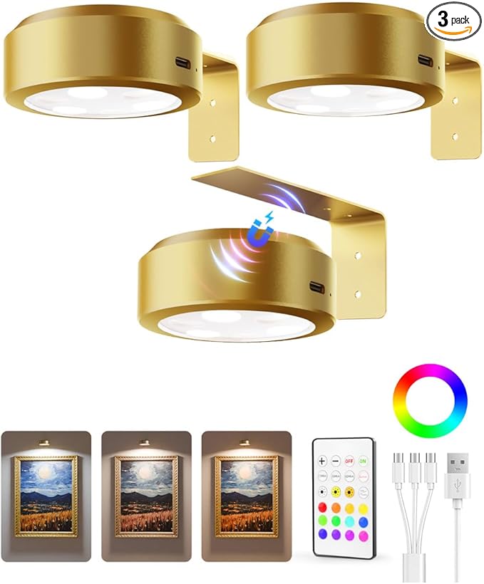 EZVALO Picture Lights for Wall, 2000mAh Rechargeable Battery Magnetic Poster by EZVALO