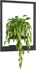 Bamworld Plant Stand Indoor Wall Decor Metal Plant Hanger Indoor Hanging Plant by Bamworld