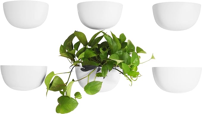 Make Good Virgo Wall Planters by MakeGood