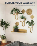 Bamworld Wall Plant Holder Wall Planters - Image 6