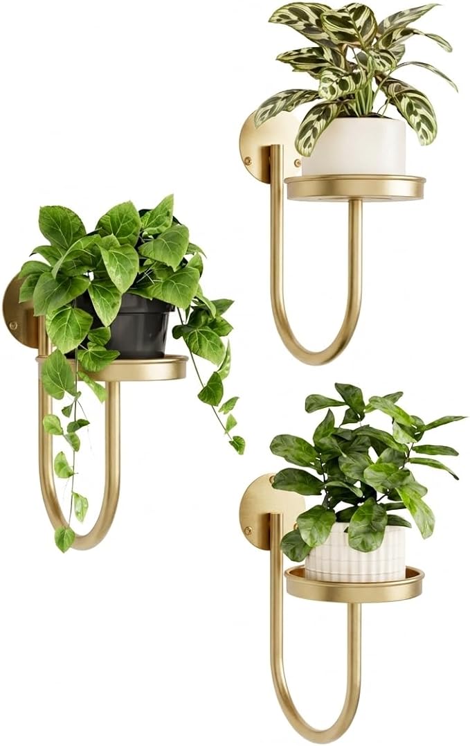 Bamworld Wall Plant Holder Wall Planters by Bamworld