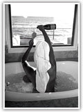 Trendy Black and White Posters Funny Woman Drinking Wine in Bathtub Wall Art by Acqooeakt