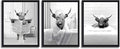 KBKBART Funny Highland Cow Wall Art Set of 3, Rustic Farmhouse Bathroom Cow by KBKBART