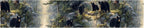 Black Bear Wallpaper Border 196x4 Inch Peel and Stick Wall Border Self Adhesive - Image 2