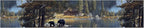 Forest Lake Wallpaper Border 196x4 Inch Peel and Stick Wall Border Self - Image 2