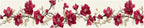 Cherry Blossom Wallpaper Border 196x4 Inch Red Flower Peel and Stick Wall - Image 2