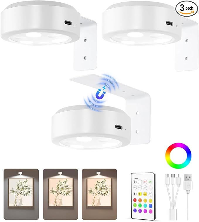 EZVALO Picture Lights for Wall, 2000mAh Rechargeable Battery Magnetic Poster by EZVALO