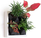 Self Watering Wall Planter by Inspiration+Jungle