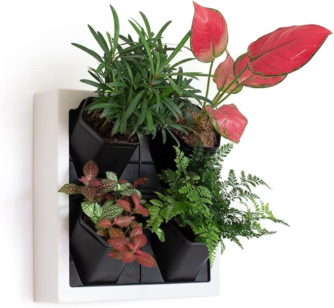 Self Watering Wall Planter by Inspiration+Jungle