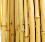 FOREVER BAMBOO Natural Bamboo Fencing Decorative Rolled Fence Panel 0.75 in D x - Image 7