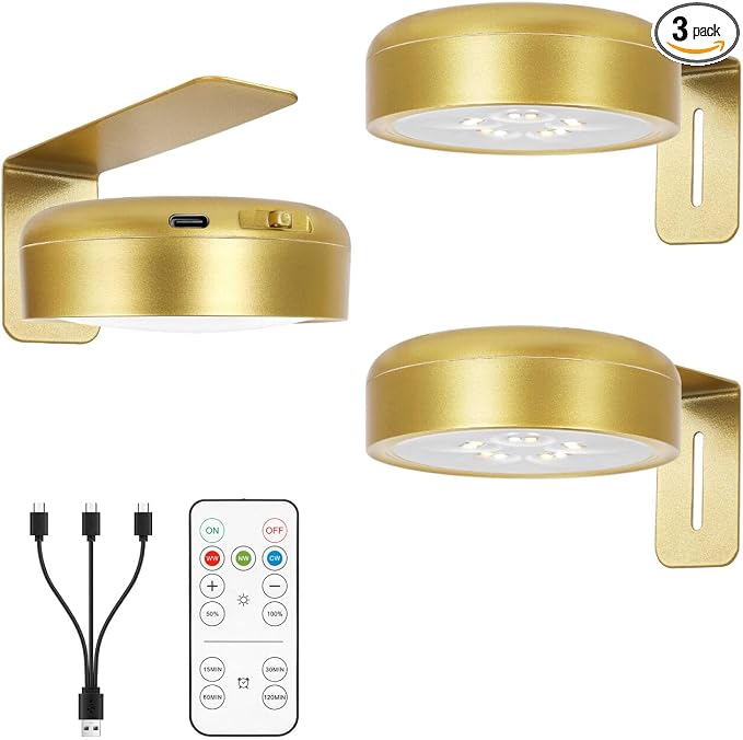 Picture Light for Wall with 2500mAh Rechargeable Battery, Wireless Painting Art by Arixinks