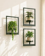 Bamworld Hanging Planters for Indoor Plants Wall Decor Living Room Plant Stand by Bamworld
