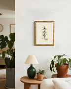 InSimSea Gold Bamboo Framed Canvas Wall Art, Vintage Kitchen Herbs Paintings - Image 5