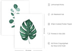 HAUS AND HUES Green Plant Art Print Set of 4-16x20 - Image 2