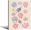Pink Shell Posters Funky Coastal Cowgirl Wall Art Vintage Beach House by Unknown
