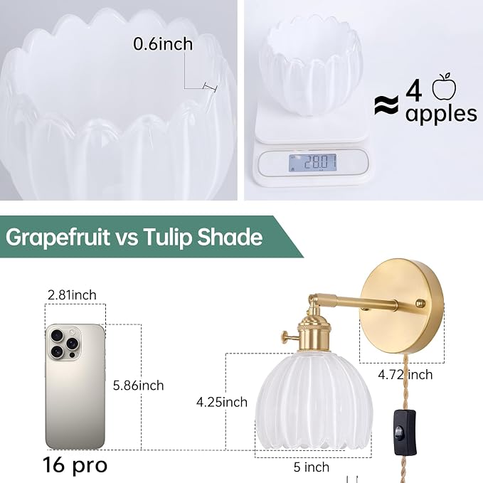 Shenmoyl Plug in Wall Sconce - Image 3