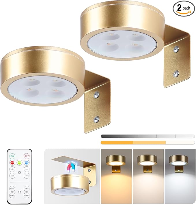 KELUOLY 2-Pack Picture Light Battery Operated Painting Lights by KELUOLY