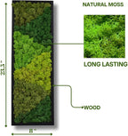 yersiz Large Moss Pattern Wall Art, Real Moss Wall Art - Image 2