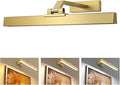 Afyuol Picture Lights for Wall, Brushed Gold Battery Operated Picture Light by Afyuol