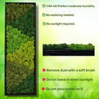 yersiz Large Moss Pattern Wall Art, Real Moss Wall Art - Image 4