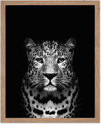 Poster Master Vintage Photograph Poster by PosterMaster