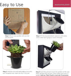 Wall Garden 4 Vertical Wall Planter, 4 Pots Wood Frame Self Watering Living - Image 5