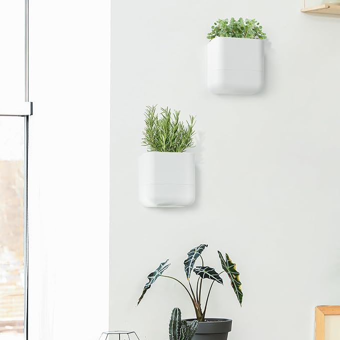 Phoenix Vine 6.5 Inch Wall Mounted Self-Watering Planter Pot - Image 8